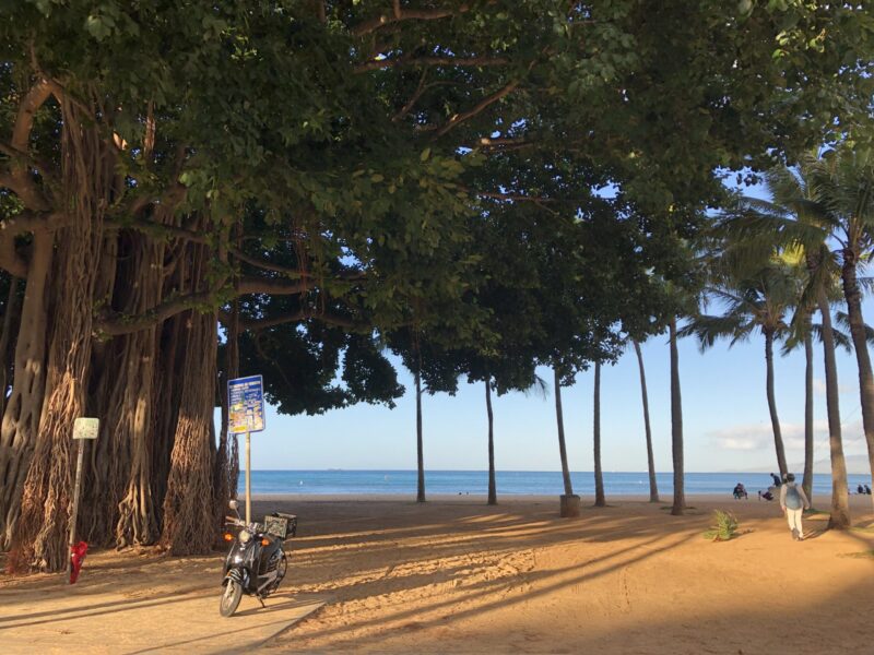 ハワイのビーチ沿い