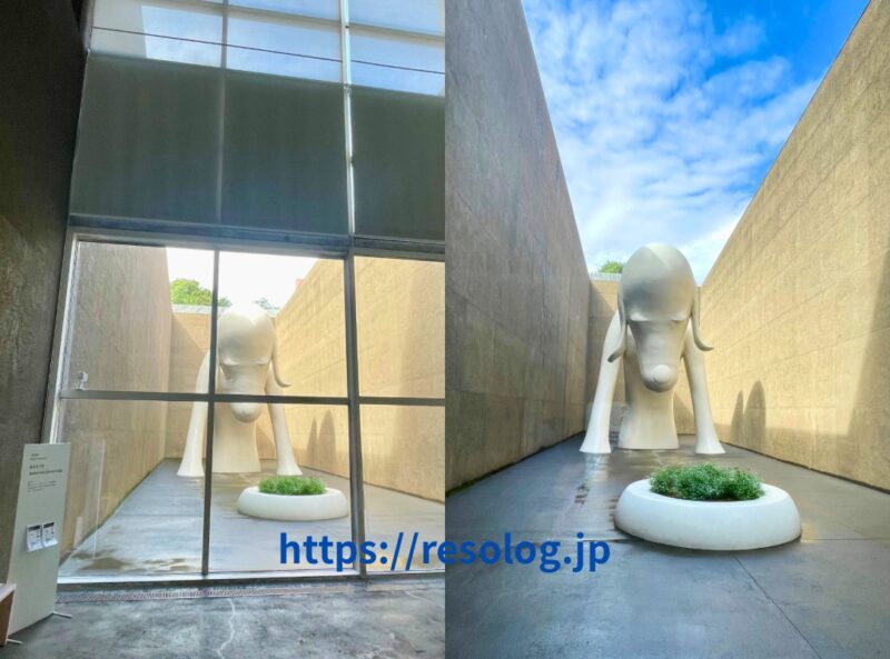 青森県立美術館「あおもり犬」、室内からの撮影