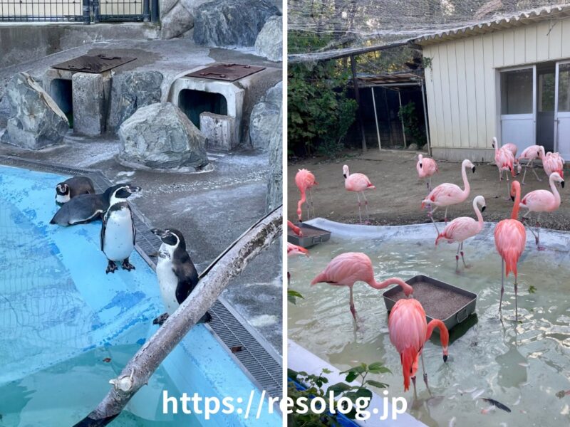 長野市城山動物園2