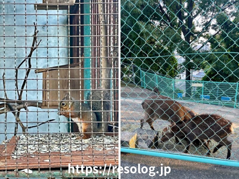 長野市城山動物園3
