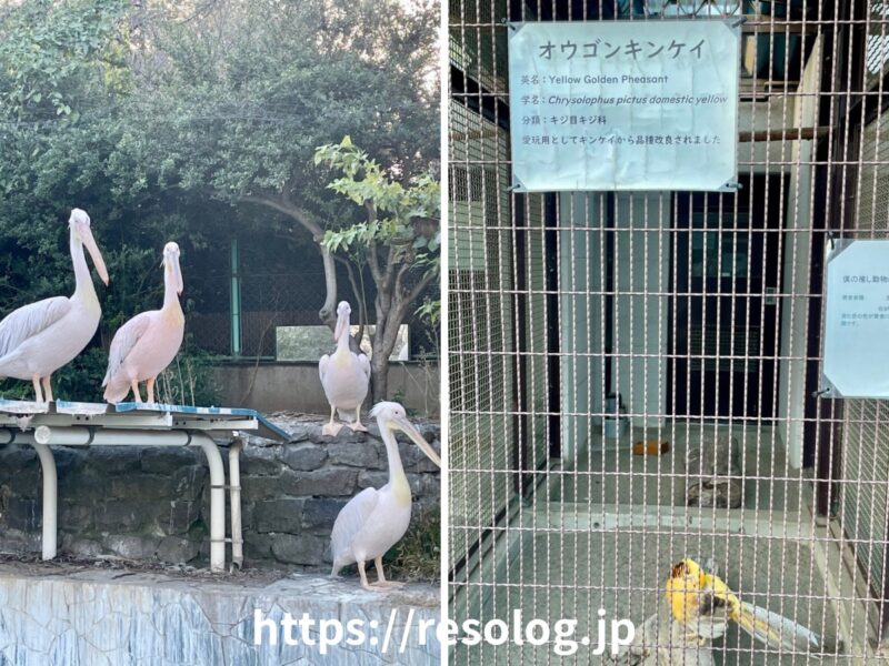 長野市城山動物園3