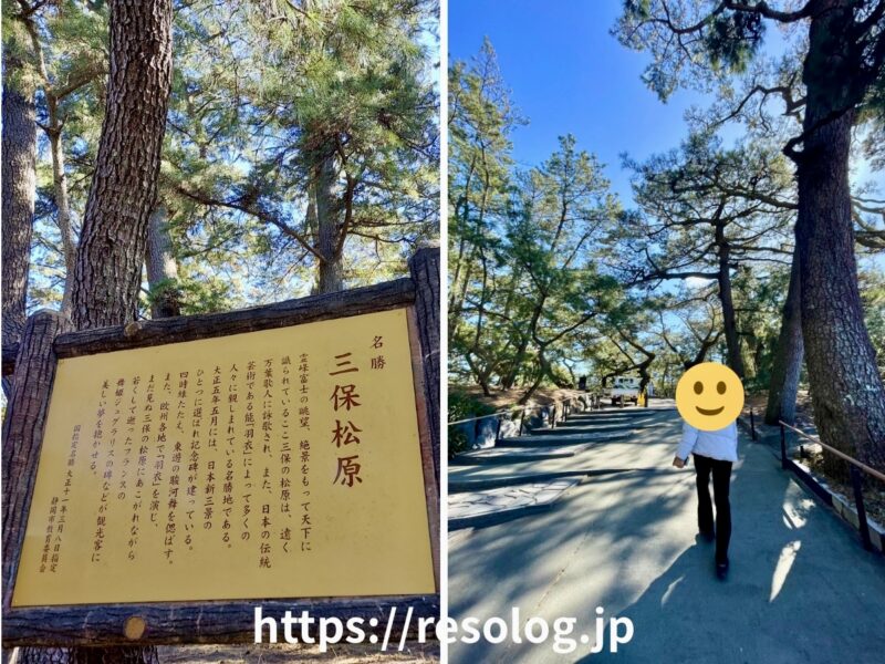 美保松原、松林