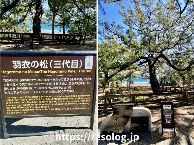 三保松原、羽衣の松