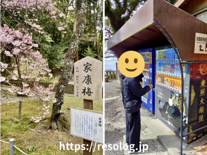 久能山東照宮に参拝3