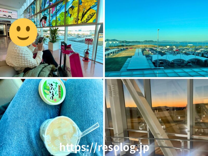 徳島空港、すだちアイス